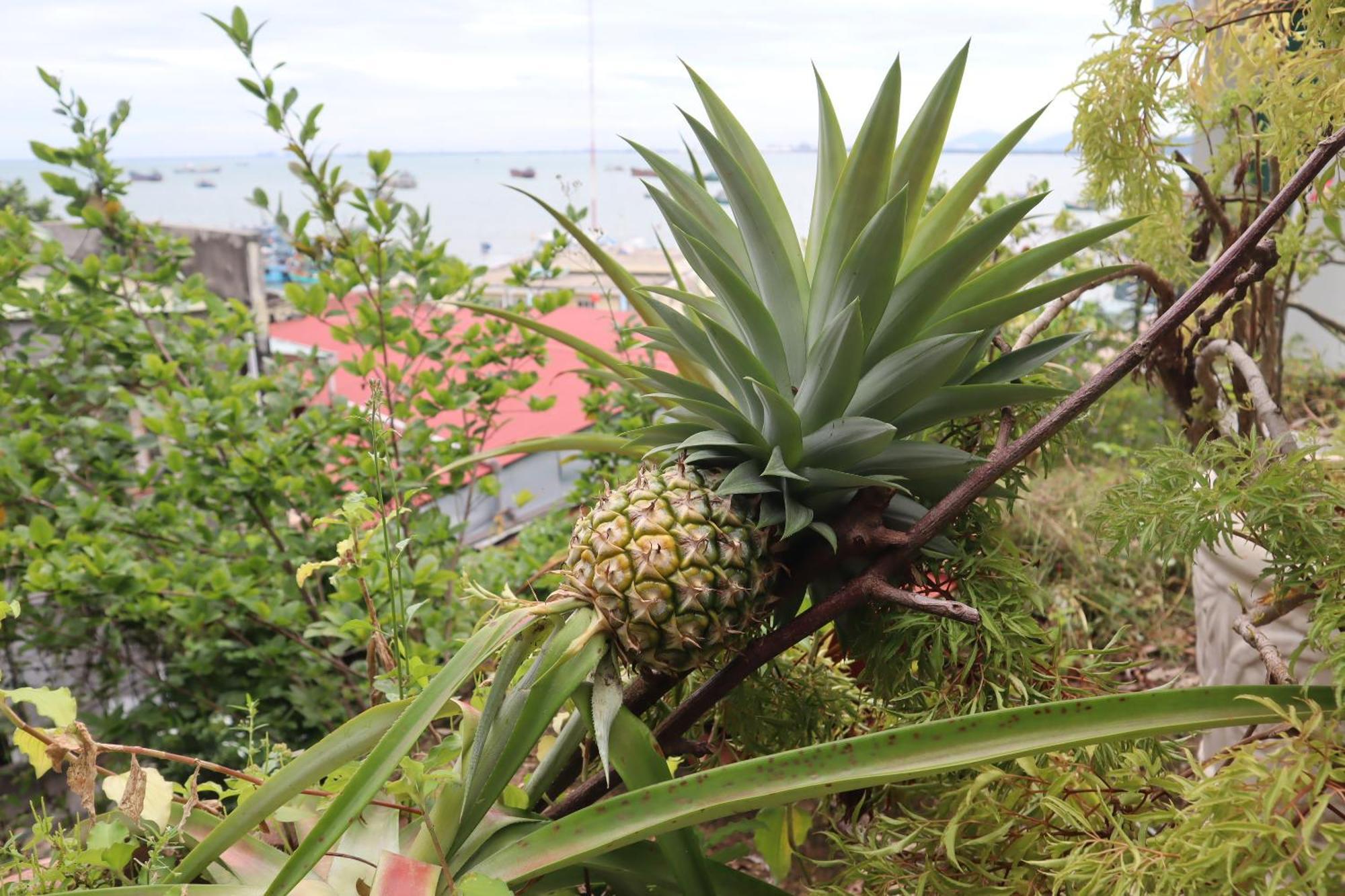 Cassabella Hotel & Apartments Vung Tau Zewnętrze zdjęcie