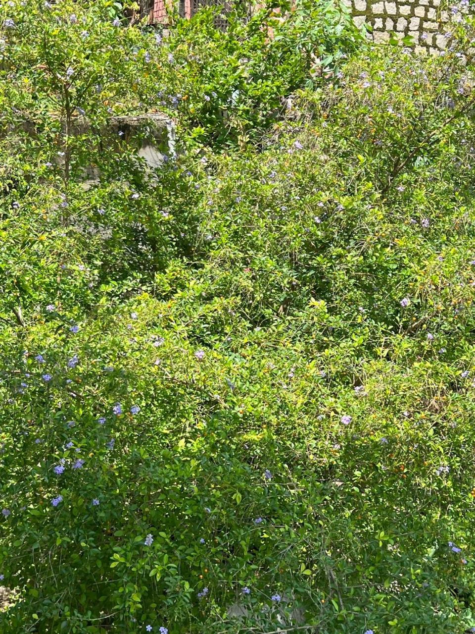 Cassabella Hotel & Apartments Vung Tau Zewnętrze zdjęcie